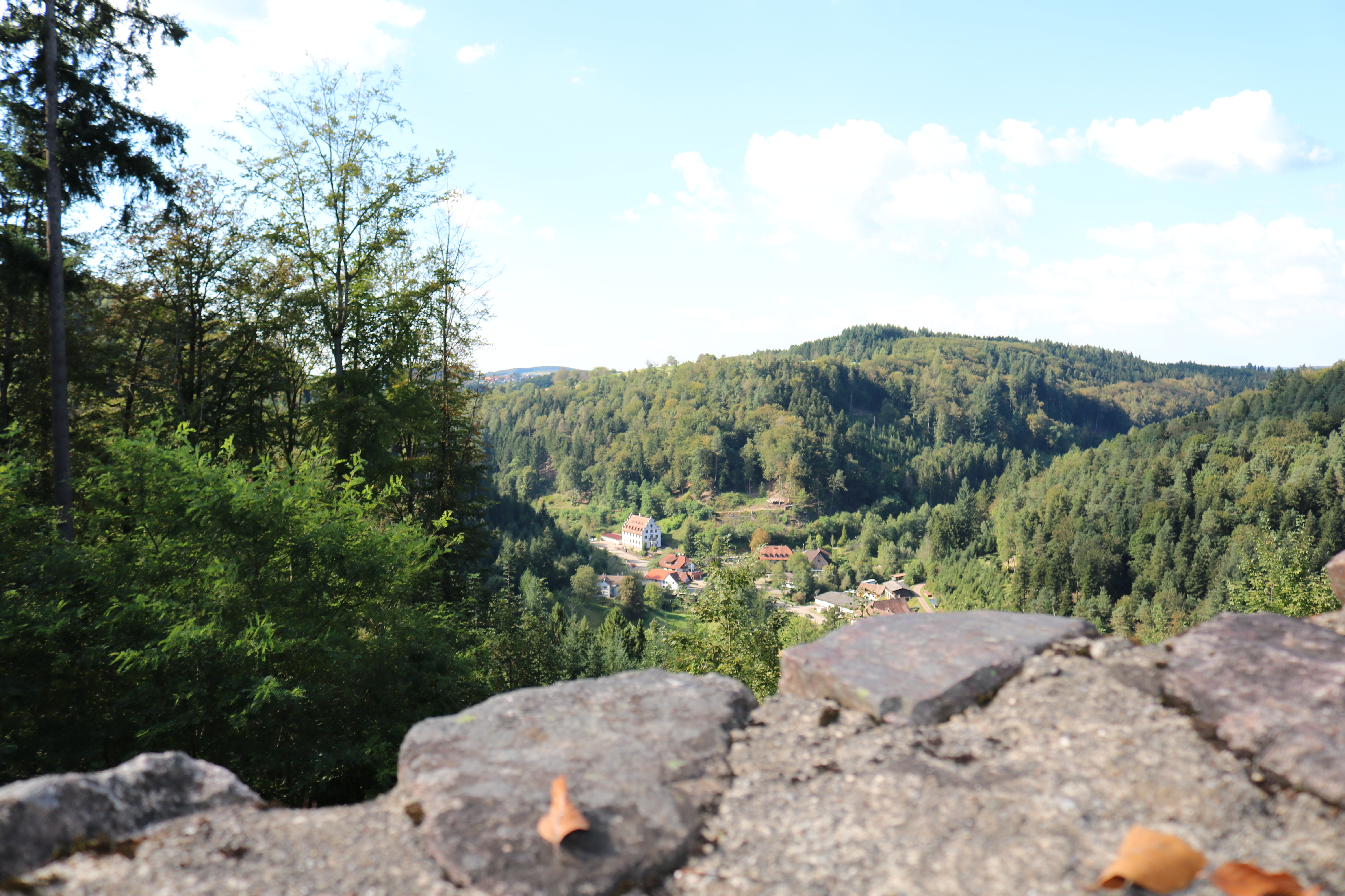  Aussicht von der Burgruine Keppenbach 