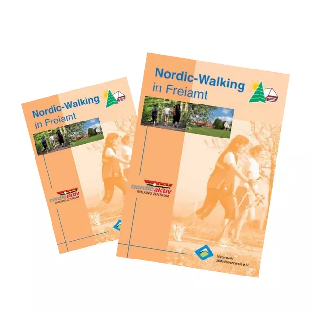 Nordic Walking Flyer