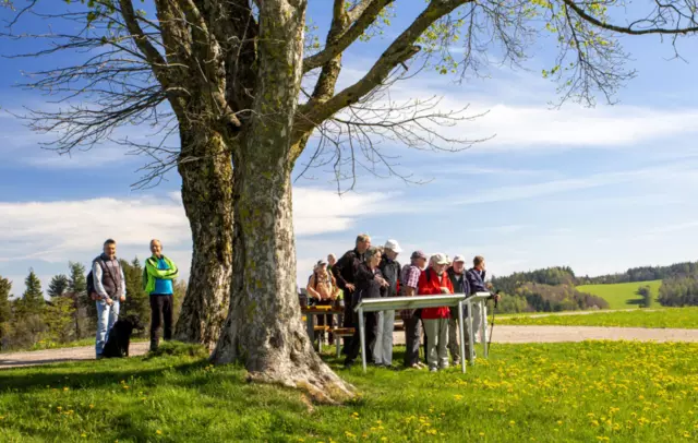 Wanderer am Scheerberg, © Wolfgang Speer